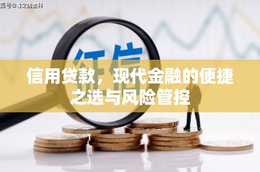 文峰信用贷款，现代金融的便捷之选与风险管控