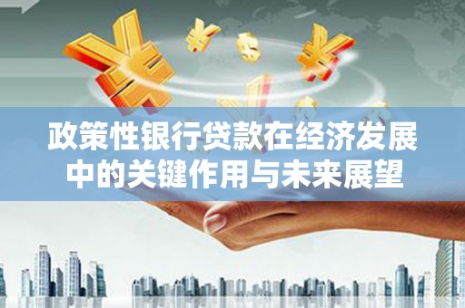琼中政策性银行贷款在经济发展中的关键作用与未来展望