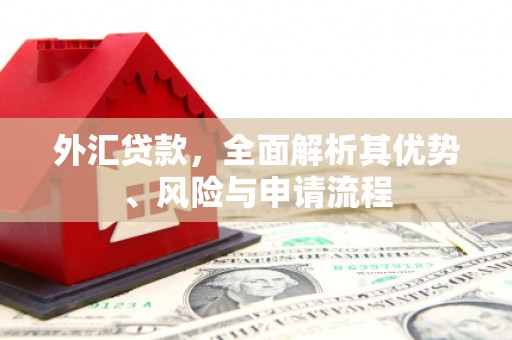 礁溪外汇贷款，全面解析其优势、风险与申请流程