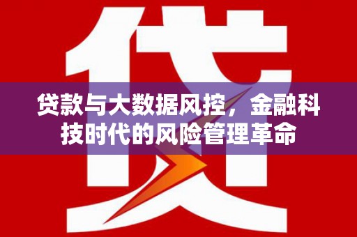 麦寮贷款与大数据风控，金融科技时代的风险管理革命