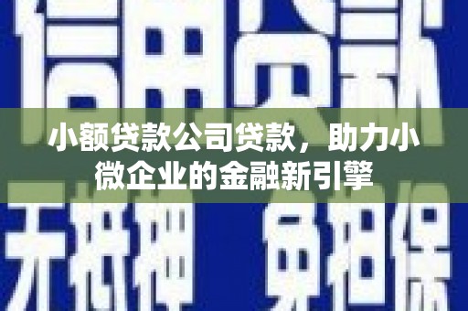 大余小额贷款公司贷款，助力小微企业的金融新引擎