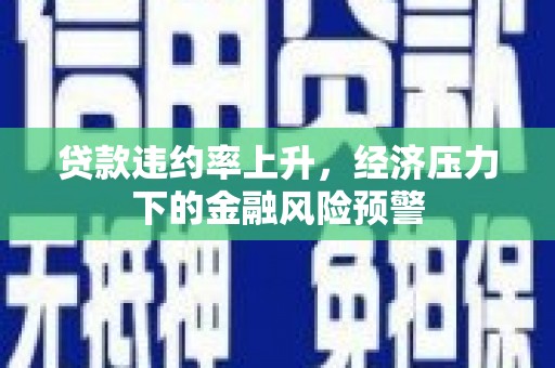 华宁贷款违约率上升，经济压力下的金融风险预警