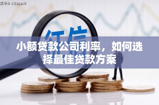 坦洲小额贷款公司利率，如何选择最佳贷款方案