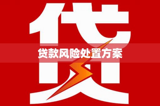 巍山贷款风险处置方案
