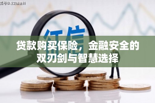 镇雄贷款购买保险，金融安全的双刃剑与智慧选择