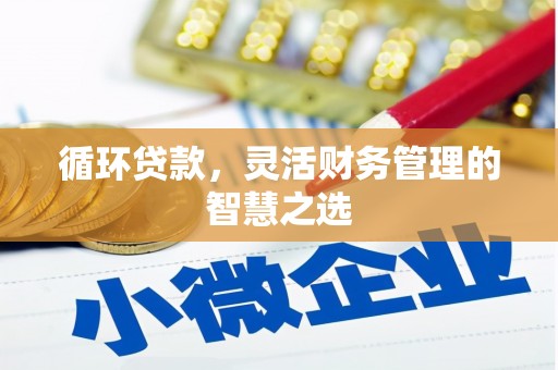 滁州循环贷款，灵活财务管理的智慧之选