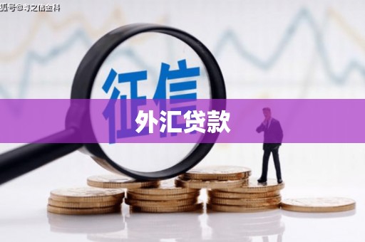 六横外汇贷款