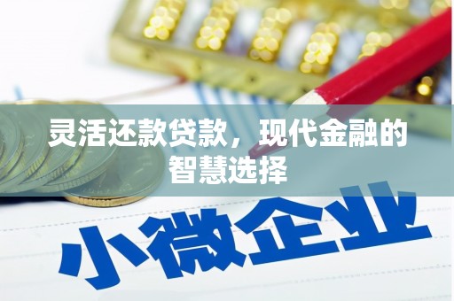 望谟灵活还款贷款，现代金融的智慧选择