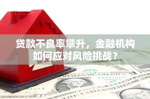 汕尾贷款不良率攀升，金融机构如何应对风险挑战？