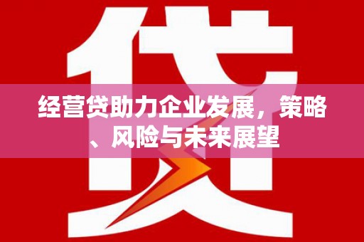 漠河经营贷助力企业发展，策略、风险与未来展望