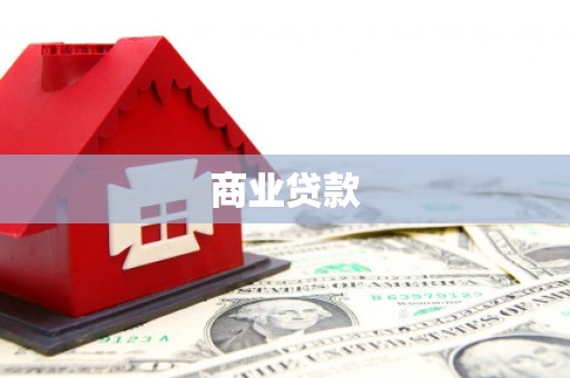 洋县商业贷款