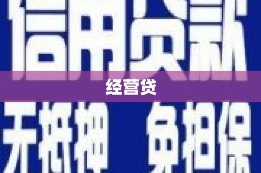 新河经营贷