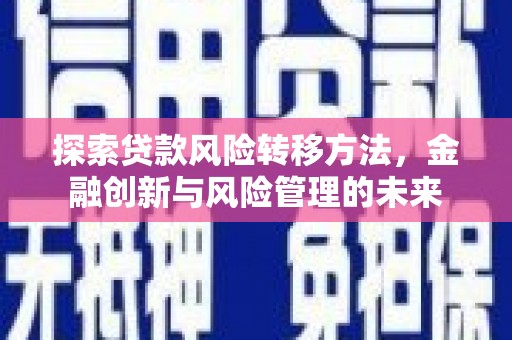 宁陵探索贷款风险转移方法，金融创新与风险管理的未来