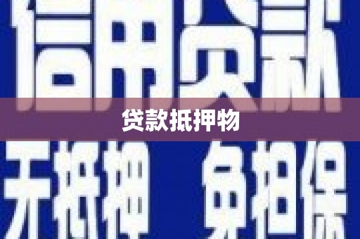 普湾新区贷款抵押物