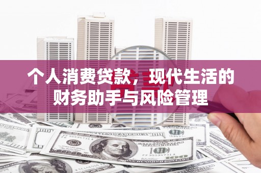 普湾新区个人消费贷款，现代生活的财务助手与风险管理