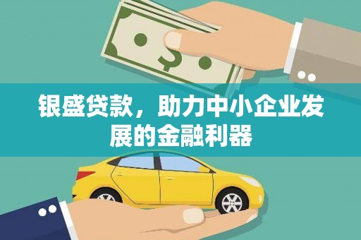 巧家银盛贷款，助力中小企业发展的金融利器