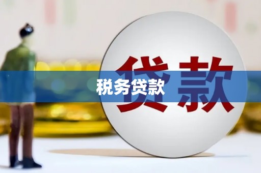 金寨税务贷款