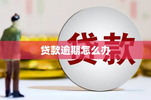 梁河贷款逾期怎么办