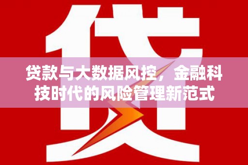 海东贷款与大数据风控，金融科技时代的风险管理新范式