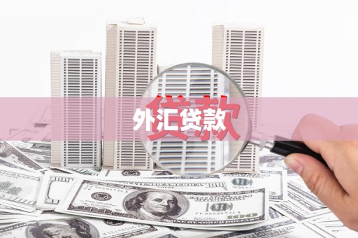 多伦外汇贷款