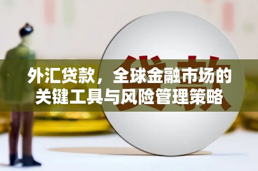 桐乡外汇贷款，全球金融市场的关键工具与风险管理策略