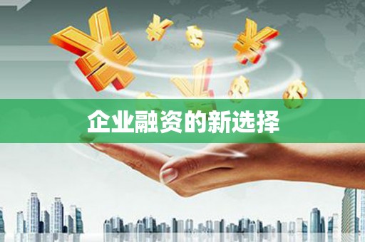安吉企业融资的新选择