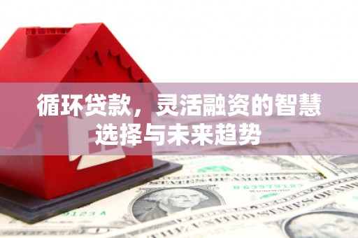 肥乡循环贷款，灵活融资的智慧选择与未来趋势