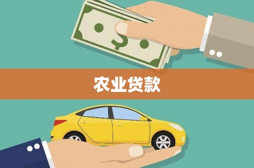 鸡东农业贷款