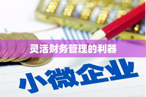石屏灵活财务管理的利器