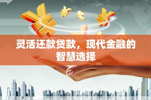 振兴灵活还款贷款，现代金融的智慧选择