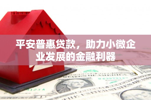 林芝平安普惠贷款，助力小微企业发展的金融利器