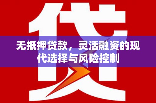 宝应无抵押贷款，灵活融资的现代选择与风险控制