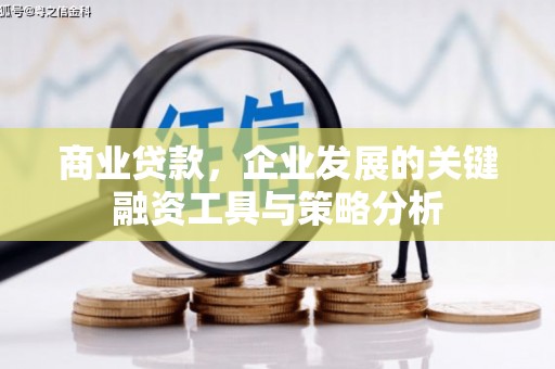 平江商业贷款，企业发展的关键融资工具与策略分析