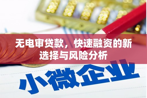 肃南无电审贷款，快速融资的新选择与风险分析