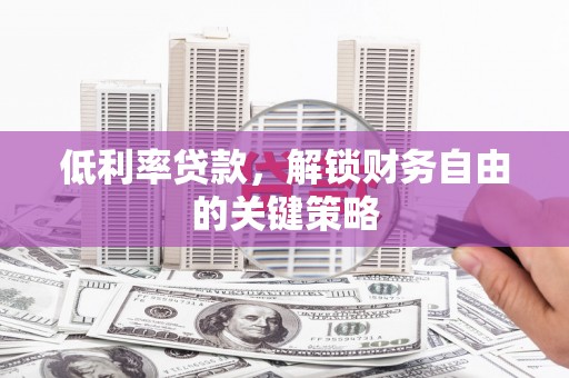 乳源低利率贷款，解锁财务自由的关键策略