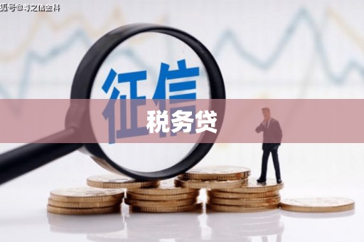 隆回税务贷