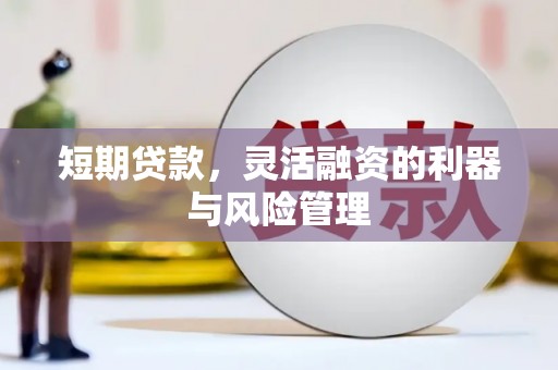 缙云短期贷款，灵活融资的利器与风险管理