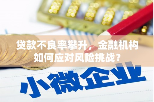 武胜贷款不良率攀升，金融机构如何应对风险挑战？