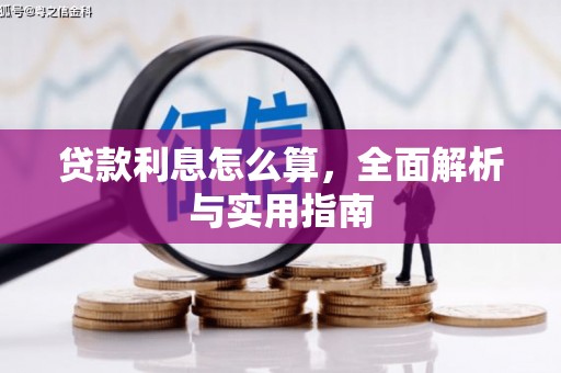 疏勒贷款利息怎么算，全面解析与实用指南