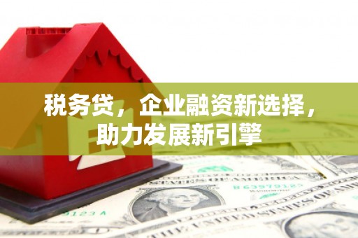 林园税务贷，企业融资新选择，助力发展新引擎