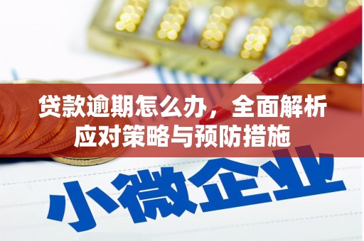 北海新区贷款逾期怎么办，全面解析应对策略与预防措施