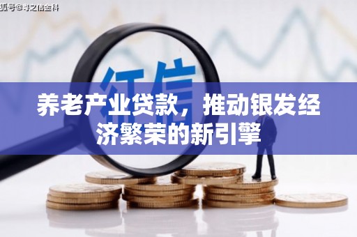 镇平养老产业贷款，推动银发经济繁荣的新引擎