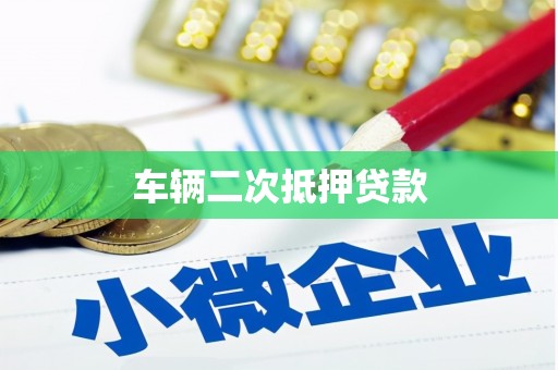 王益车辆二次抵押贷款