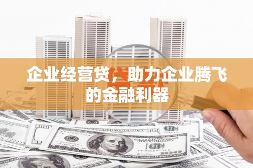 望江企业经营贷，助力企业腾飞的金融利器