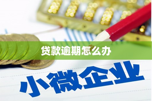 金秀贷款逾期怎么办