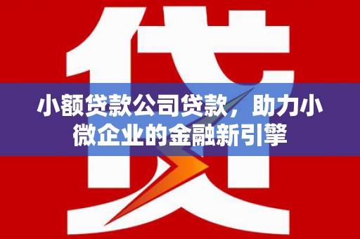 康乐小额贷款公司贷款，助力小微企业的金融新引擎