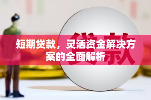 阳春短期贷款，灵活资金解决方案的全面解析