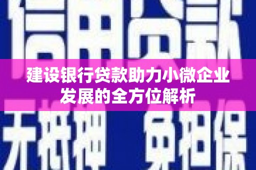 六合建设银行贷款助力小微企业发展的全方位解析
