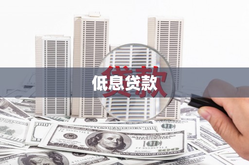 恩平低息贷款