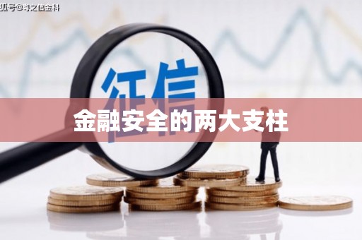 略阳金融安全的两大支柱